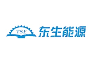 TSE